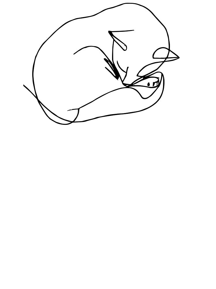 Curled Up Cat Nap - one line drawing style kitten art by Sarah Rosie Studios T-Shirts, Hoodie, Sweatshirt (Image 3)