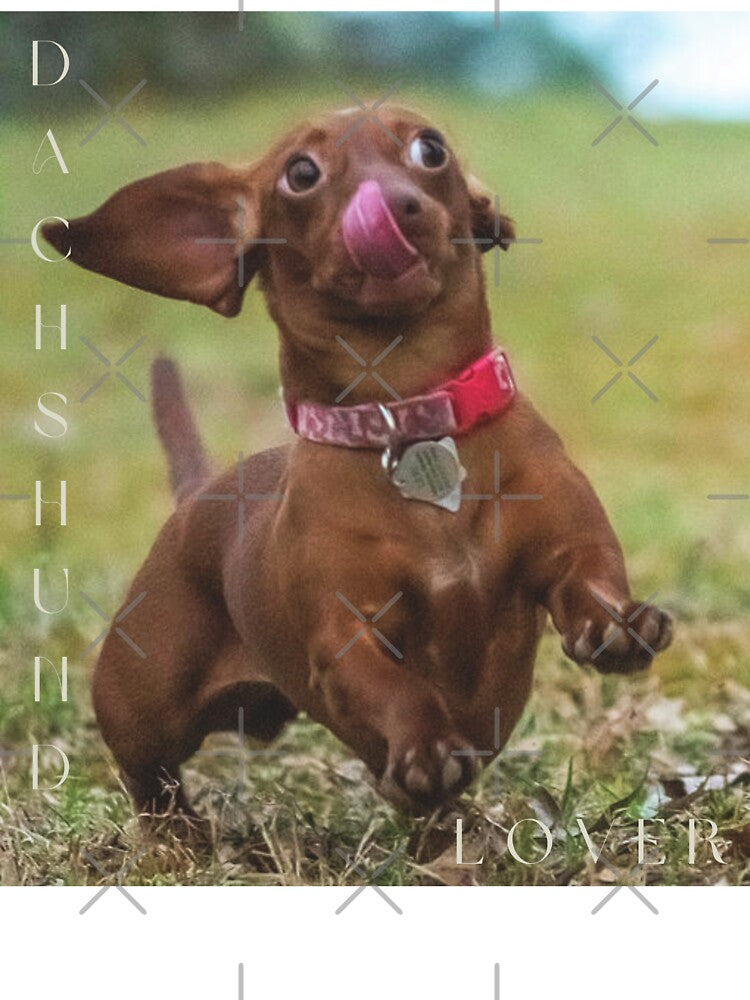 Dachshund Lover by Mrswobblechin T-Shirts, Hoodie, Sweatshirt | BlankRebels.com (Image 3)