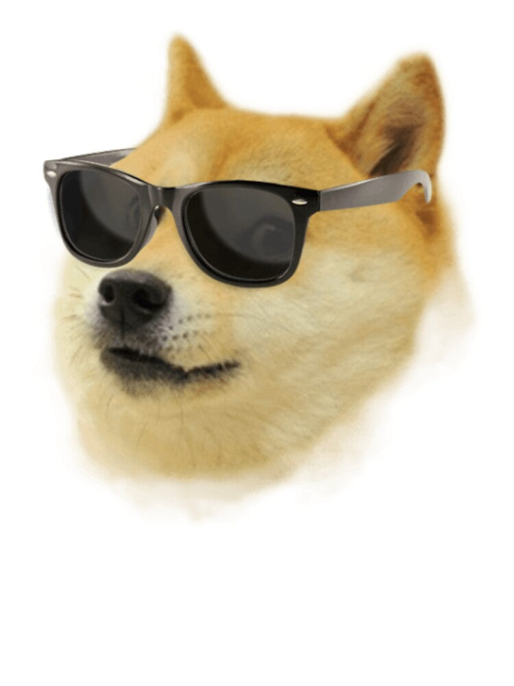 Elon Musk Doge Meme | Stylized Shiba Inu Pop Art by Arspedia T-Shirts, Hoodie, Sweatshirt | BlankRebels.com (Image 3)