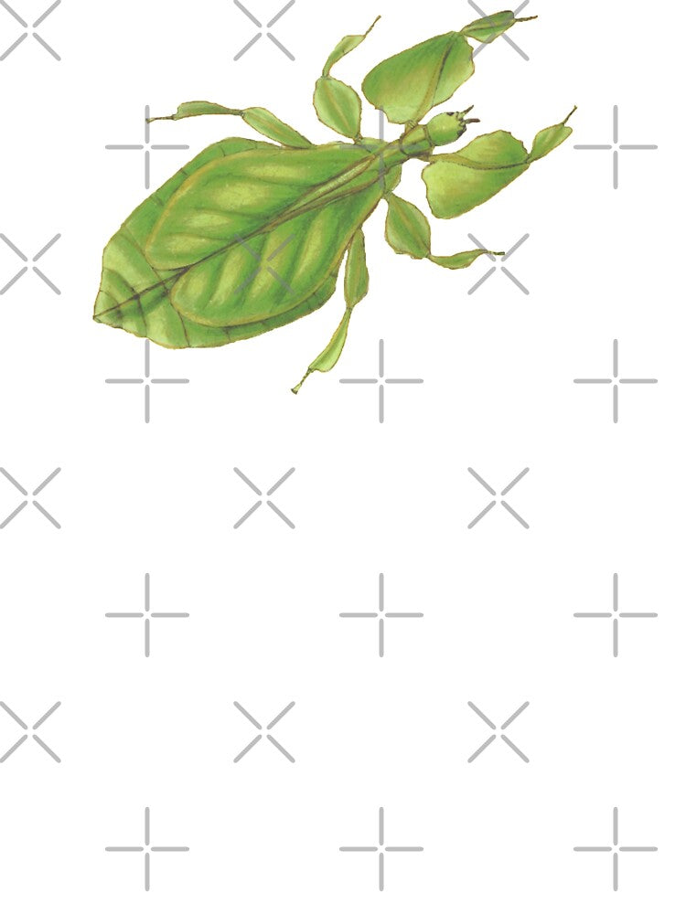 Vintage Scientific Illustration of a Leaf Insect by bookishneighbor T-Shirts, Hoodie, Sweatshirt | BlankRebels.com (Image 3)