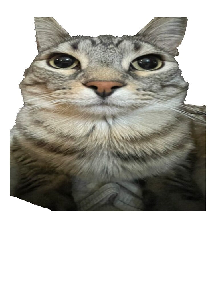 cat looking directly at you png by Greg Heffley T-Shirts, Hoodie, Sweatshirt | BlankRebels.com (Image 3)