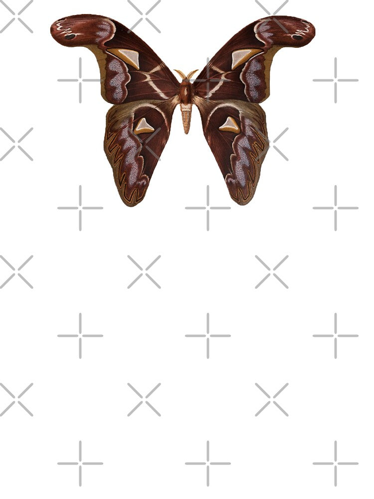 Vintage Scientific Illustration of an Atlas Moth by bookishneighbor T-Shirts, Hoodie, Sweatshirt | BlankRebels.com (Image 3)