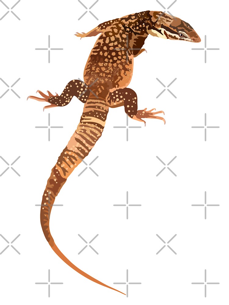A is for Ackies Monitor Lizard,Ackies Monitor Lizard Artwork – Detailed Reptile Illustration and Exotic... (Image 3)