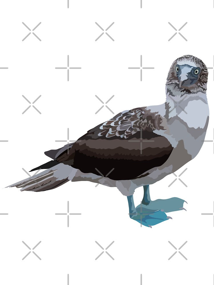 B is for Blue Footed Booby, Blue-Footed Booby Illustration – Iconic Tropical Seabird Artwork by... (Image 3)