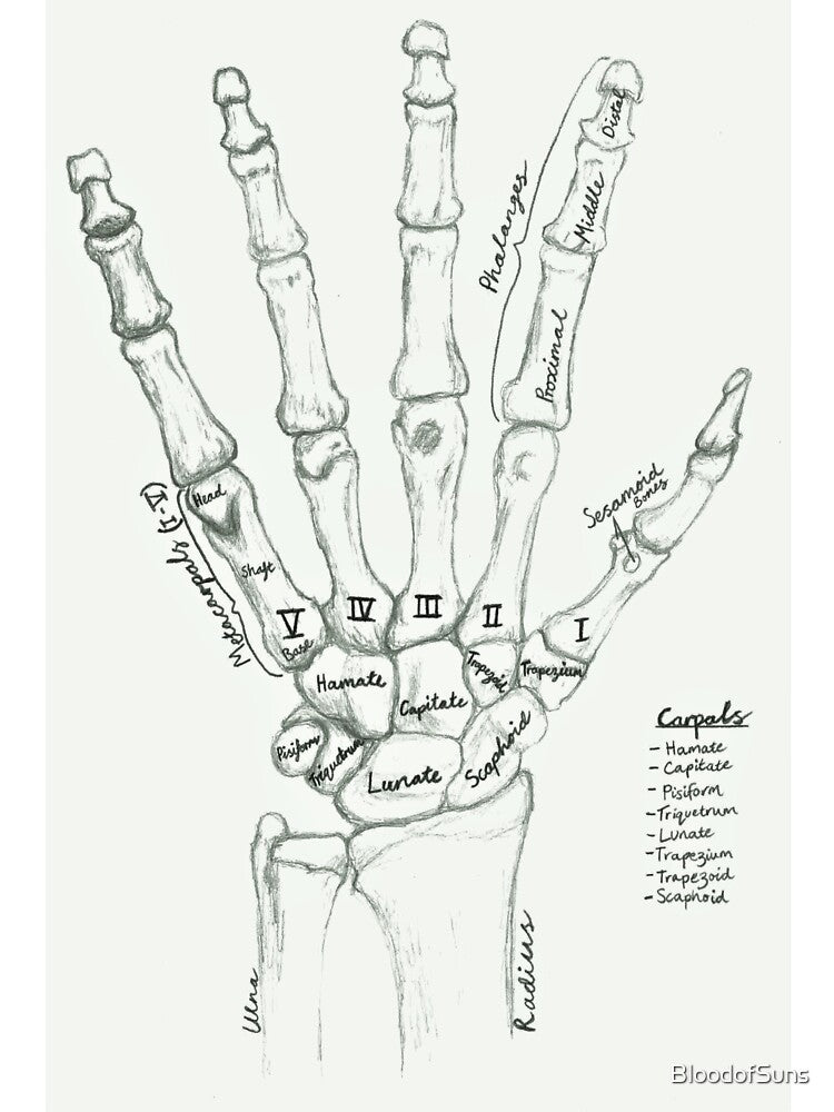 skeleton hand by BloodofSuns T-Shirts, Hoodie, Sweatshirt | BlankRebels.com (Image 3)