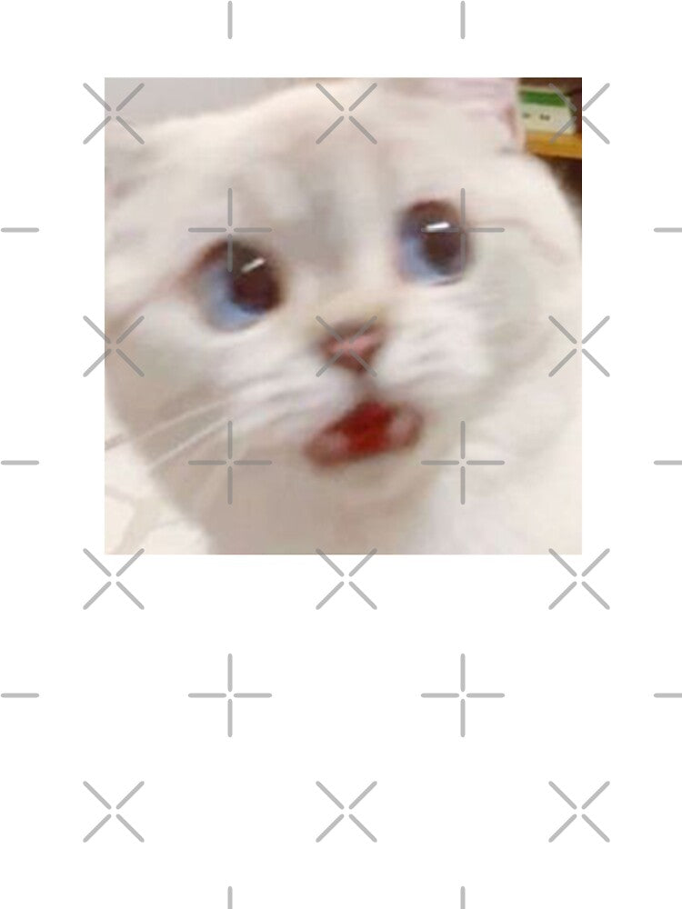Shook cat by cheapfan