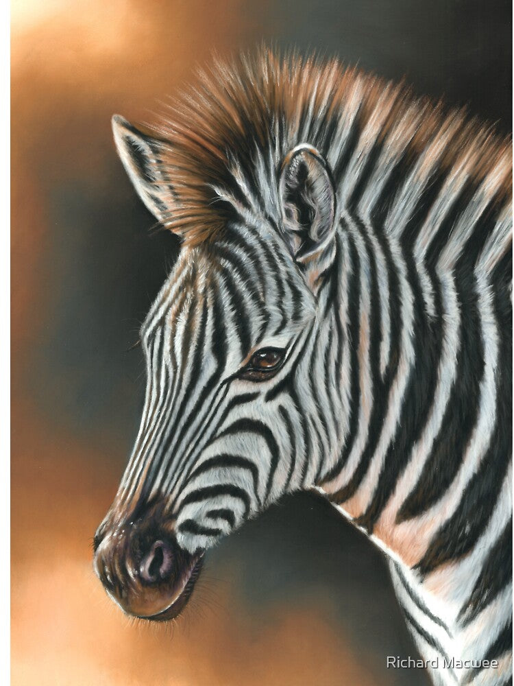 Zebra by Richard Macwee T-Shirts, Hoodie, Sweatshirt | BlankRebels.com (Image 3)