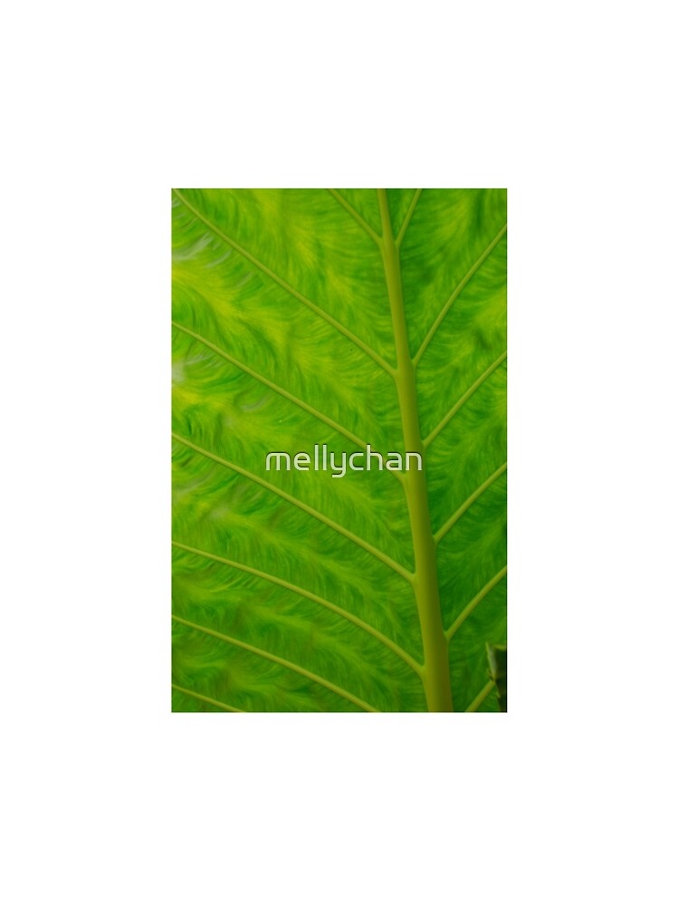 green iphone/samsung galaxy cover by mellychan T-Shirts, Hoodie, Sweatshirt | BlankRebels.com (Image 3)