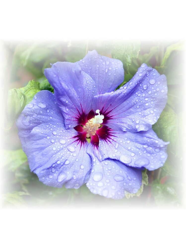 Blue Hibiscus T-Shirts, Hoodie, Sweatshirt