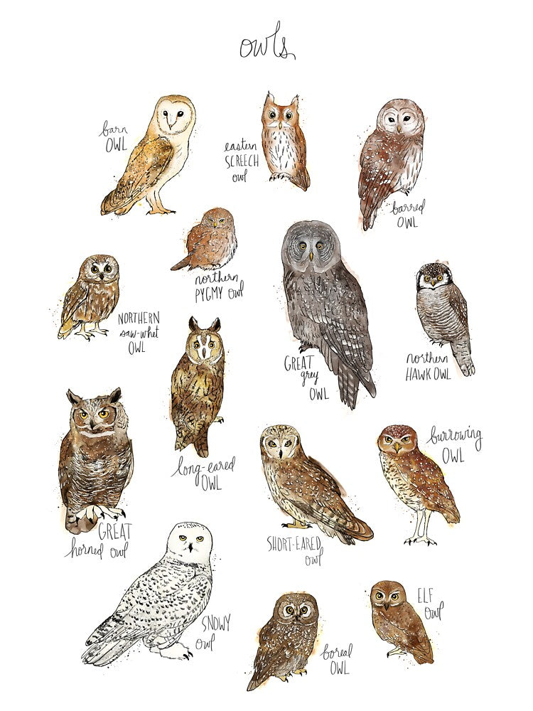 Owls by Amy Hamilton T-Shirts, Hoodie, Sweatshirt | BlankRebels.com (Image 3)