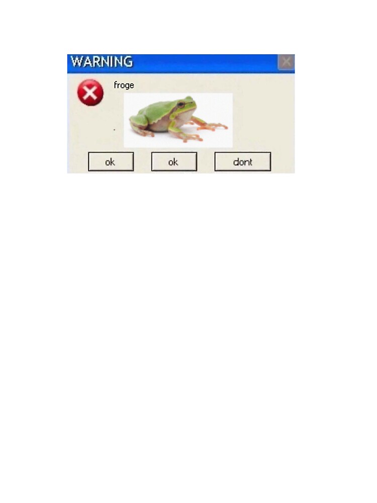 WARNING froge by RandomImages.exe T-Shirts, Hoodie, Sweatshirt | BlankRebels.com (Image 3)