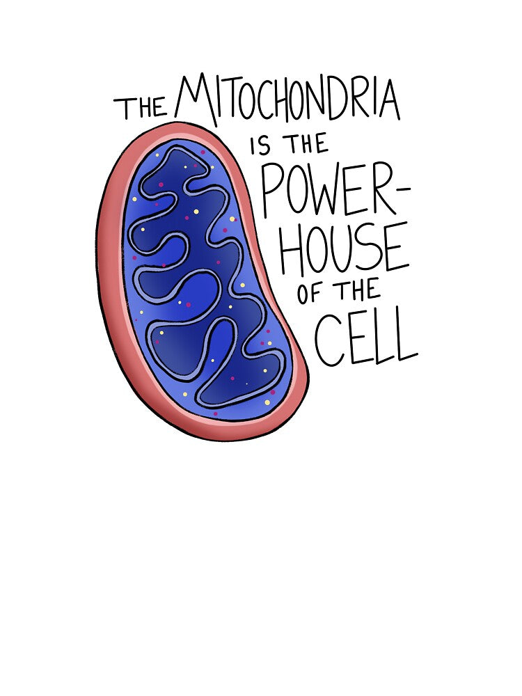 The Mitochondria by nirenroart T-Shirts, Hoodie, Sweatshirt | BlankRebels.com (Image 3)