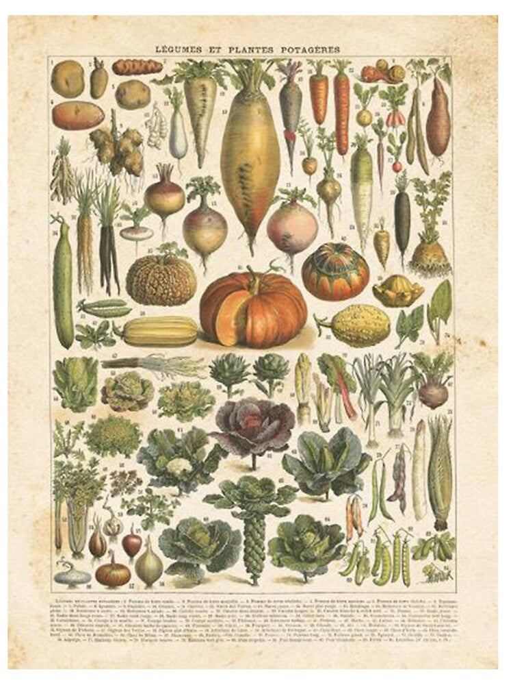 French Vegetable Chart by keylaMillson T-Shirts, Hoodie, Sweatshirt | BlankRebels.com (Image 3)