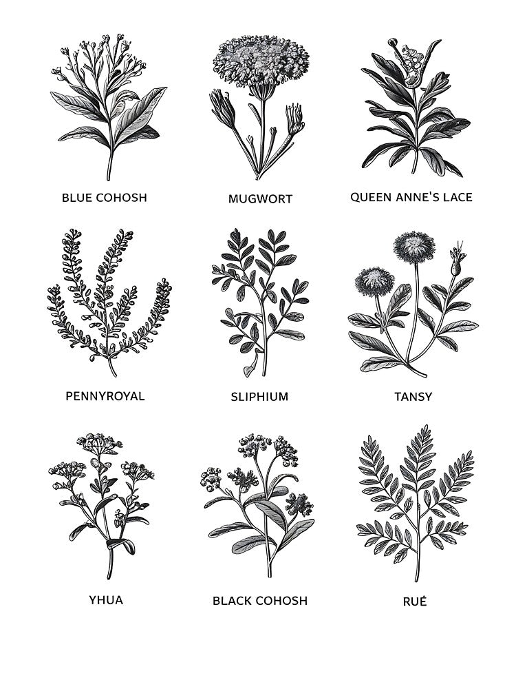 Herbal Vintage Botanical Illustration for Nature Lovers by TheWizArt T-Shirts, Hoodie, Sweatshirt | BlankRebels.com (Image 3)