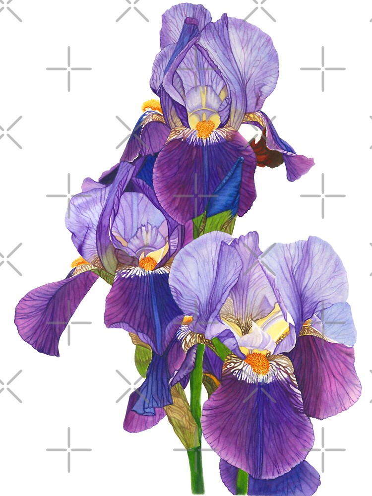 Dancing Iris by Irsaervin T-Shirts, Hoodie, Sweatshirt | BlankRebels.com (Image 3)