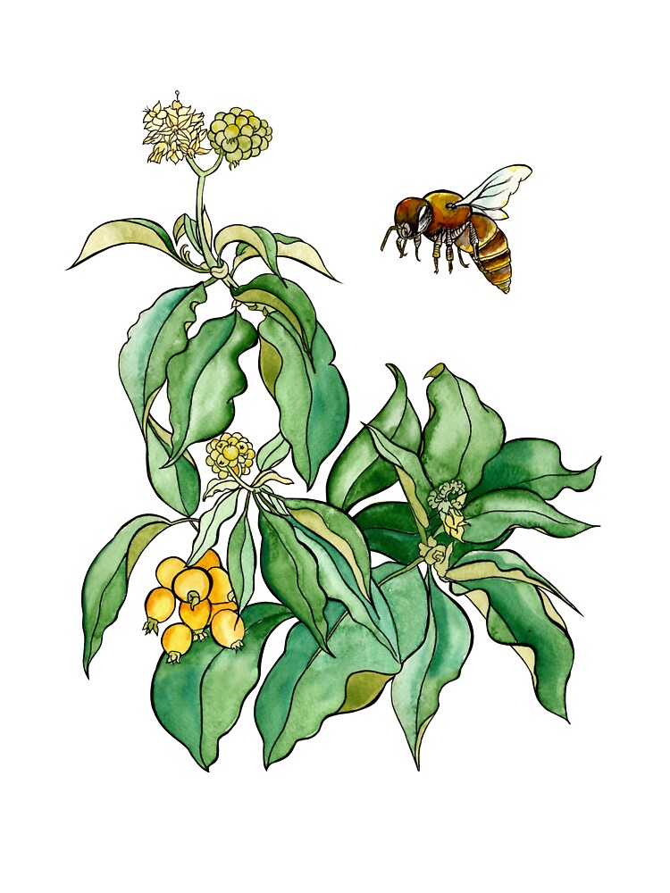 loquat tree — a plant that carries an unexpected softness and tropical warmth. by MartaHorodniczy T-Shirts,... (Image 2)