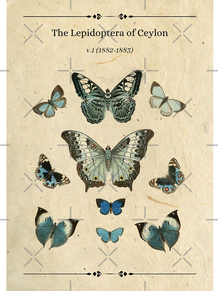 Vintage Blue Butterfly Collection by Sershni T-Shirts, Hoodie, Sweatshirt | BlankRebels.com (Image 3)