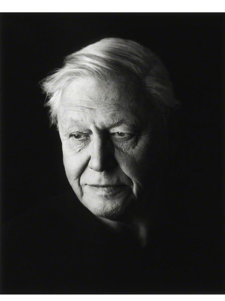 david attenborough black and white rip by emcazalet