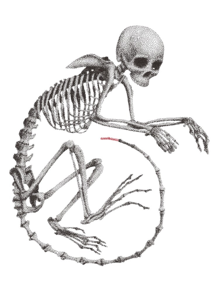 Macabre Tailed Skeleton Dark Stippling Art by CynicalGear T-Shirts, Hoodie, Sweatshirt | BlankRebels.com (Image 3)