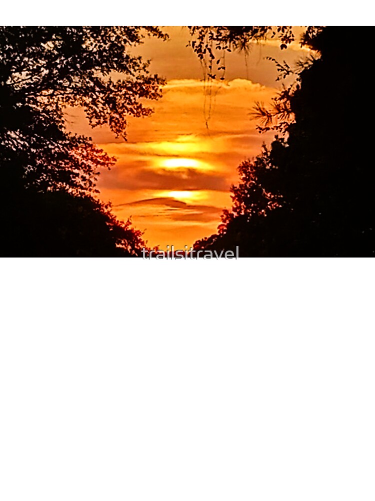 Bayou Sunset by trailsitravel T-Shirts, Hoodie, Sweatshirt | BlankRebels.com (Image 3)