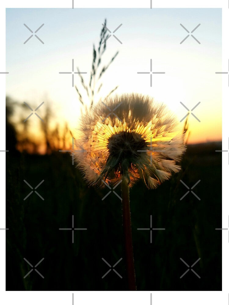 Wish Upon A Dandelion At Sunset by GlimpseBeauty11 T-Shirts, Hoodie, Sweatshirt | BlankRebels.com (Image 3)