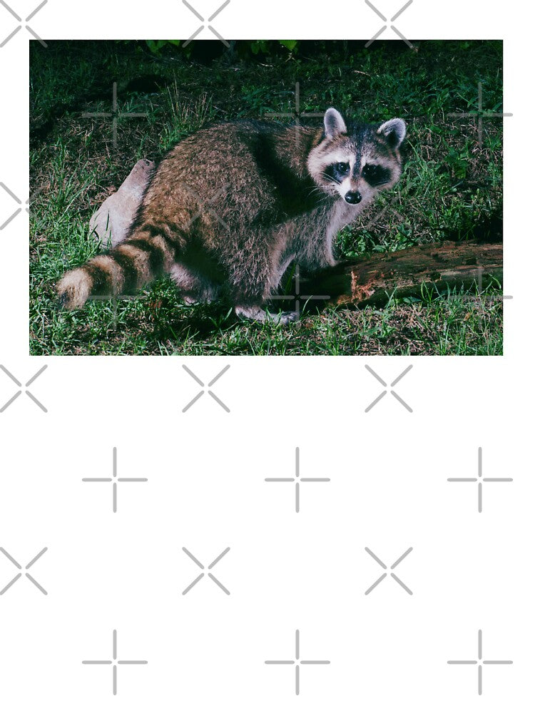 Night Raccoon by TheAnimalZ00 T-Shirts, Hoodie, Sweatshirt | BlankRebels.com (Image 3)