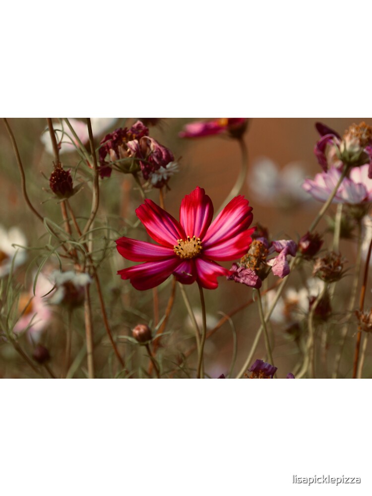 Autumn Flower by lisapicklepizza T-Shirts, Hoodie, Sweatshirt | BlankRebels.com (Image 3)