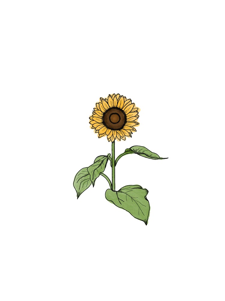 Sunflower with Leaves by storybees T-Shirts, Hoodie, Sweatshirt | BlankRebels.com (Image 3)