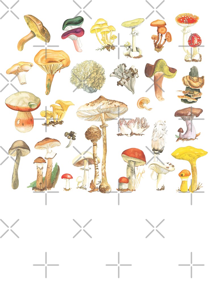 Mushroom Varieties Fungi Woodland Botanical Morel by cl0thespin T-Shirts, Hoodie, Sweatshirt | BlankRebels.com (Image 3)