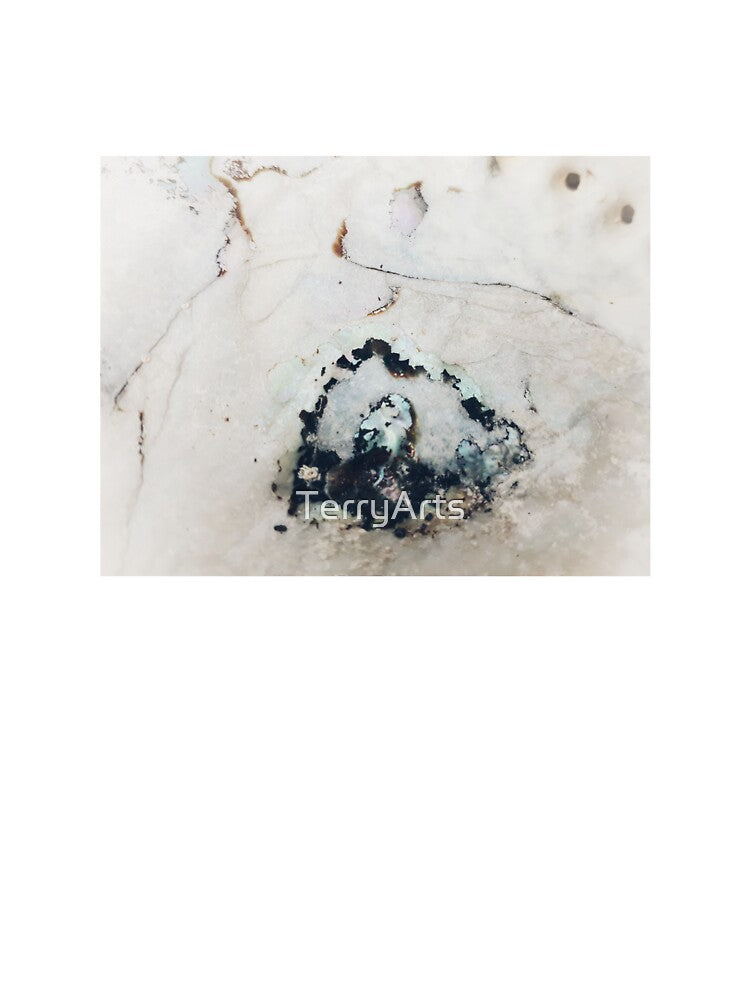 IMAGE PRINT ONLY Abalone Art Hidden Art in Nature In The Castle Window by Beachy