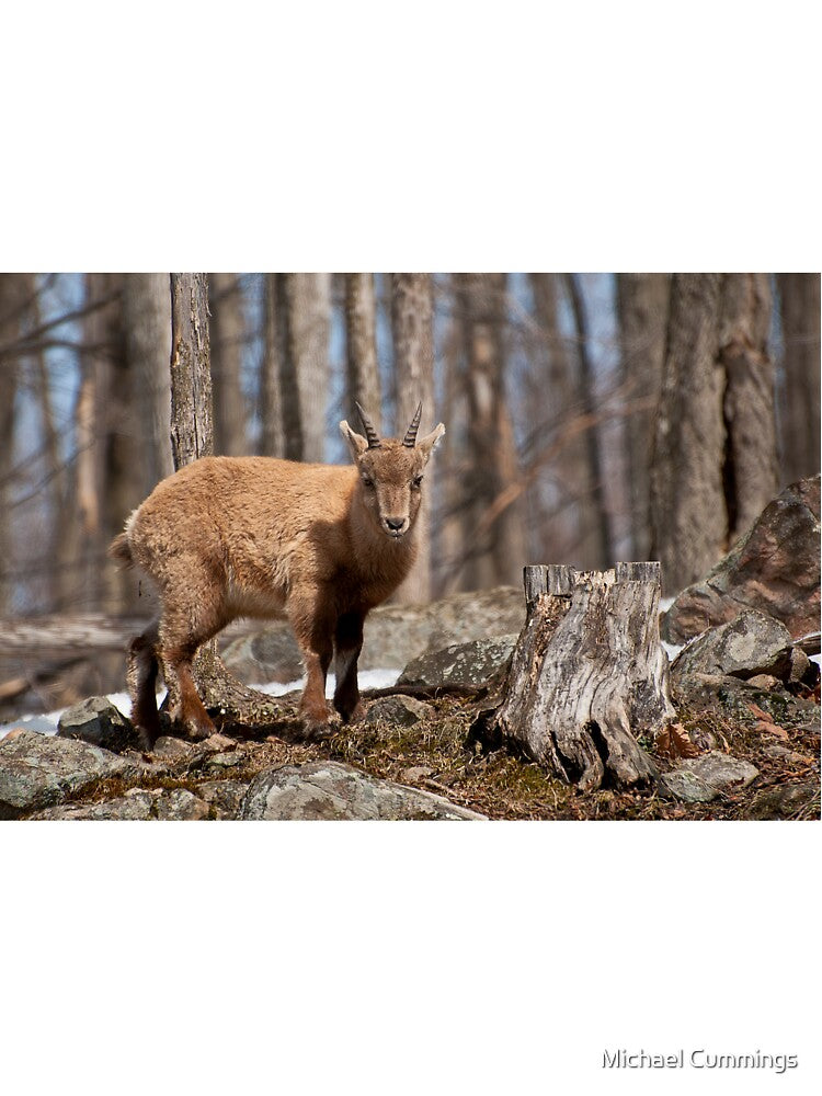 Young Ibex by Michael Cummings T-Shirts, Hoodie, Sweatshirt | BlankRebels.com (Image 3)
