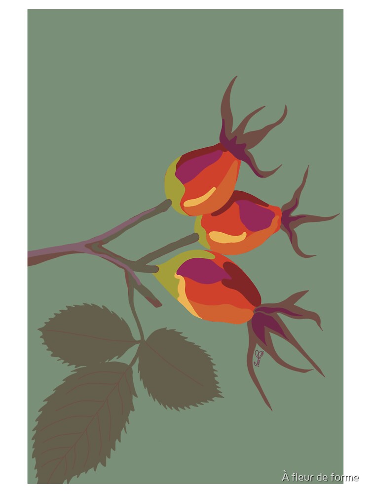 Rosehip berries – Minimalist illustration by À fleur de forme T-Shirts, Hoodie, Sweatshirt | BlankRebels.com (Image 3)