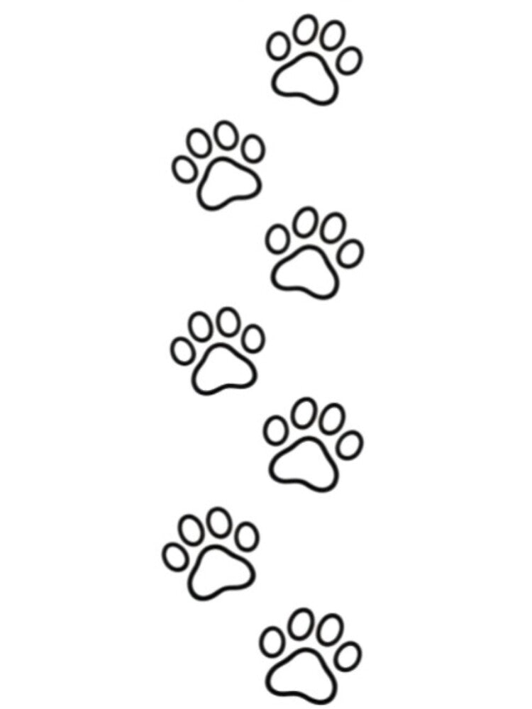 Paw Prints by Miryou