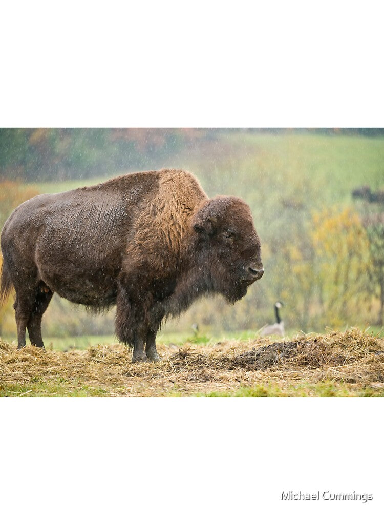 Bison by Michael Cummings T-Shirts, Hoodie, Sweatshirt | BlankRebels.com (Image 3)
