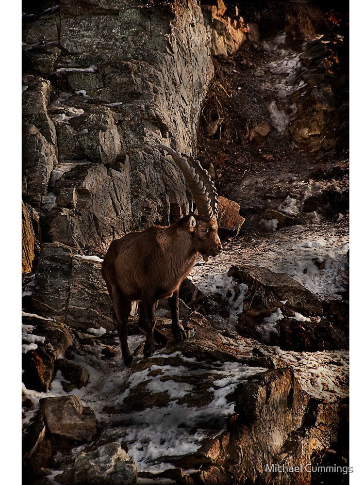 Ibex On Snow Covered Rocks by Michael Cummings T-Shirts, Hoodie, Sweatshirt | BlankRebels.com (Image 3)