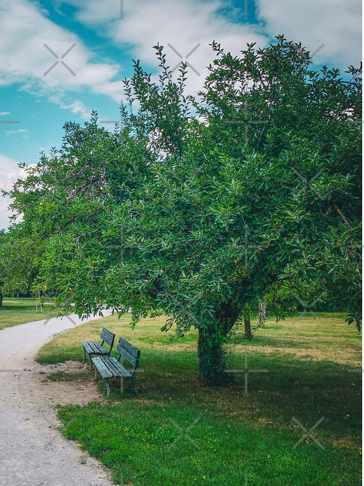 Summer Relax Park Tree Nature by eleonoraingrid T-Shirts, Hoodie, Sweatshirt | BlankRebels.com (Image 3)