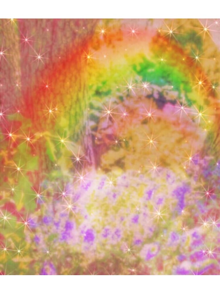 Rainbow in a garden by LisaMPierce1990 T-Shirts, Hoodie, Sweatshirt | BlankRebels.com (Image 3)
