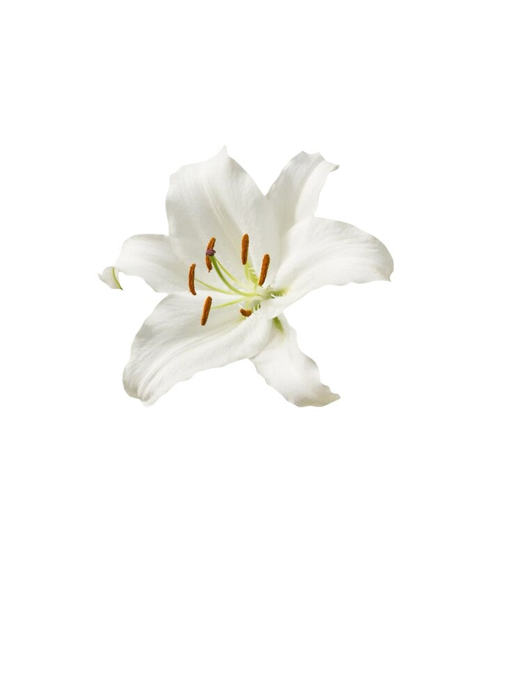cute flower by rubyhessey T-Shirts, Hoodie, Sweatshirt | BlankRebels.com (Image 3)