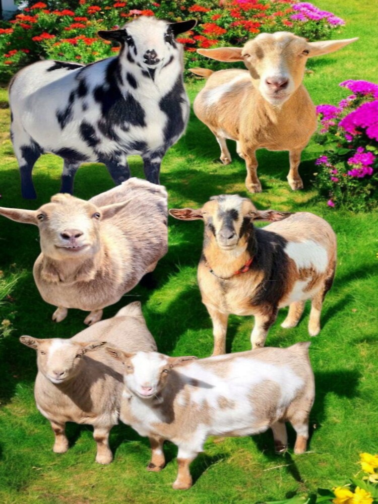 Goats by snickles1977 T-Shirts, Hoodie, Sweatshirt | BlankRebels.com (Image 3)
