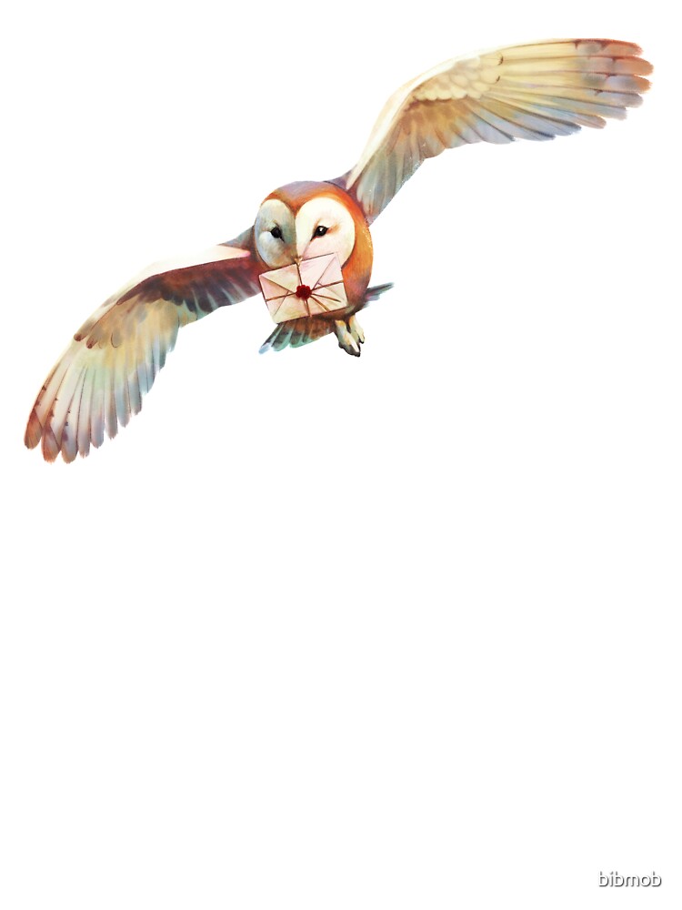 Owl Post by bibmob T-Shirts, Hoodie, Sweatshirt | BlankRebels.com (Image 2)