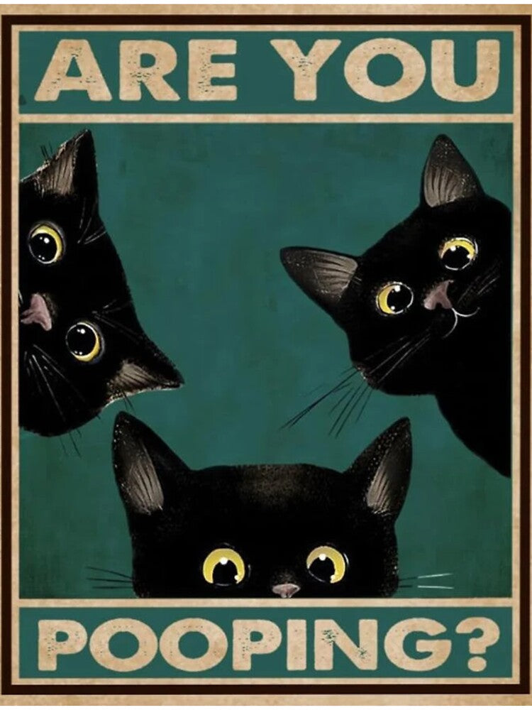 Are You Pooping Three Baby Cat Poster by hanssans52 T-Shirts, Hoodie, Sweatshirt | BlankRebels.com (Image 3)