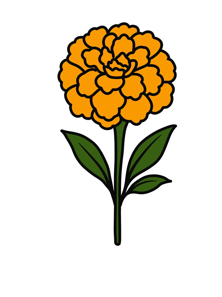 Marigold Flower Illustration by SunCraftStudio