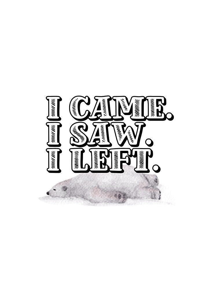I Came. I Saw. I Left. – Funny Bear Lying Down Design for Introverts by Mood Supply T-Shirts, Hoodie, Sweatshirt (Image 3)