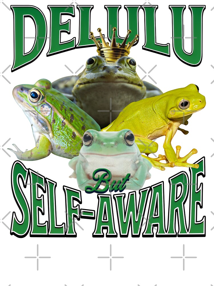 Funny Frog Meme Delulu But Self-Aware by DemureArtsy T-Shirts, Hoodie, Sweatshirt | BlankRebels.com (Image 3)
