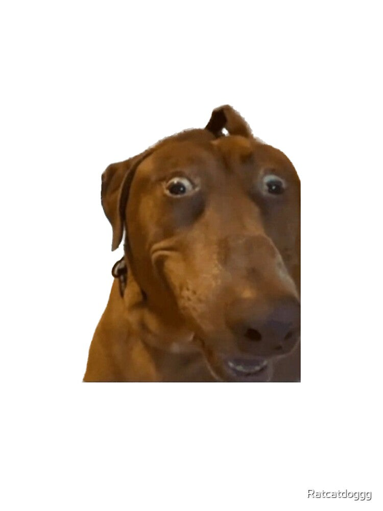 Crazy looking dog by Ratcatdoggg T-Shirts, Hoodie, Sweatshirt | BlankRebels.com (Image 3)