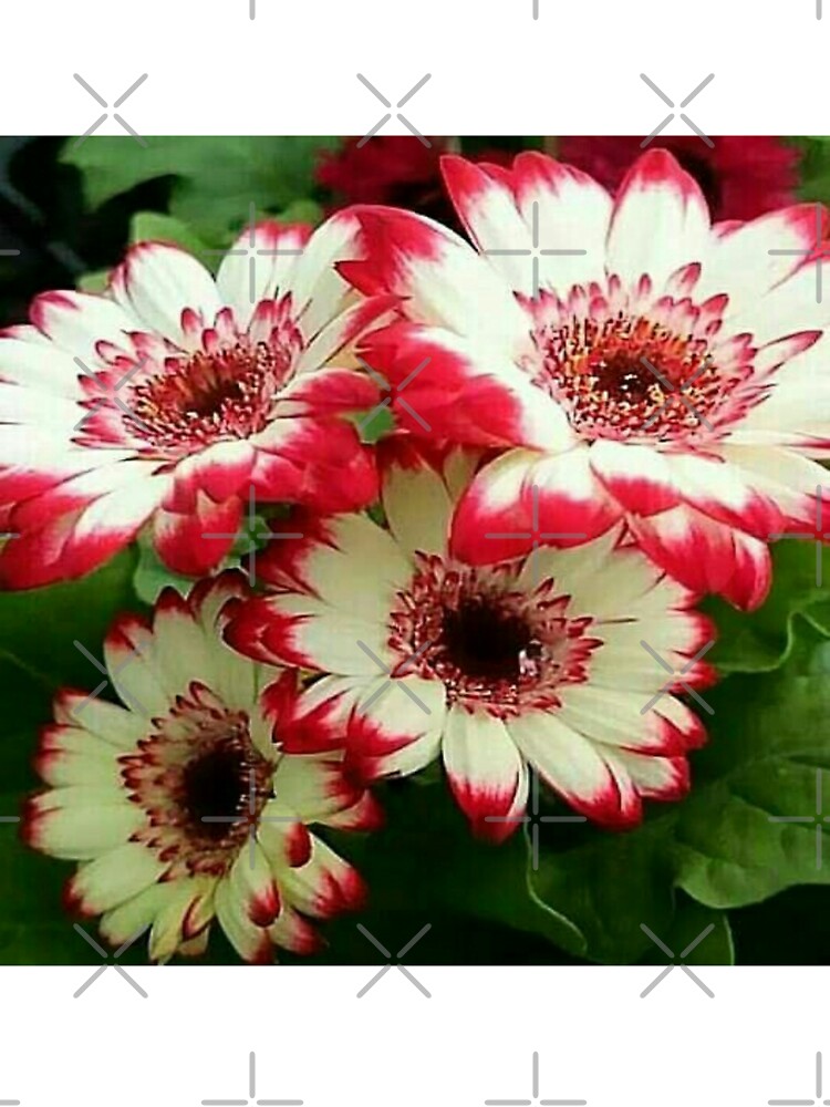 Flowers by Shahid1234 T-Shirts, Hoodie, Sweatshirt | BlankRebels.com (Image 3)