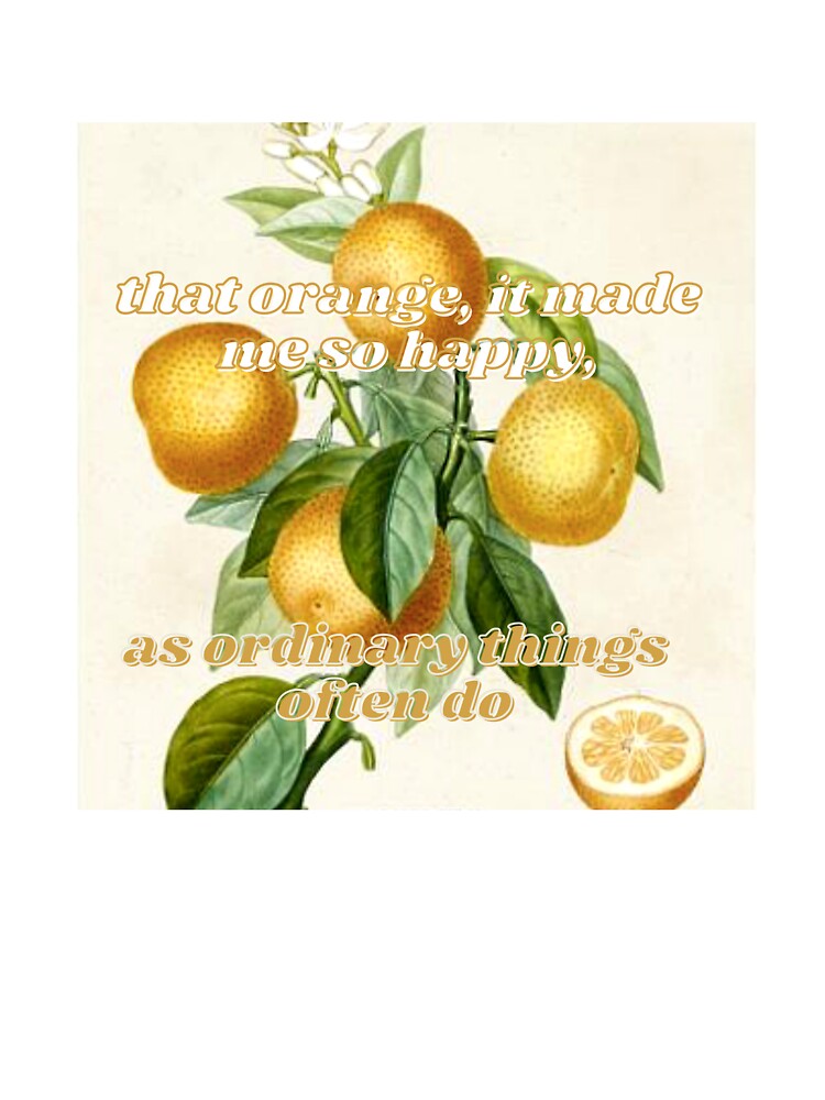 The Orange by Wendy Cope by ellabycab T-Shirts, Hoodie, Sweatshirt | BlankRebels.com (Image 3)