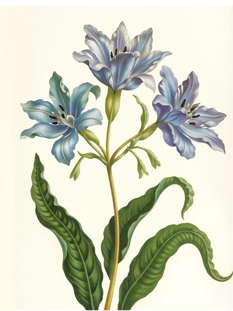 Vintage Blue Botanical Flower Illustration by Fullspace T-Shirts, Hoodie, Sweatshirt | BlankRebels.com (Image 3)