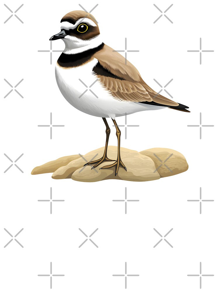 Little Ringed Plover by DerSenat