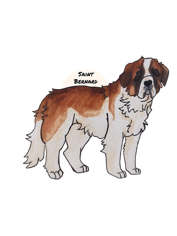 Saint Bernard by the2000scalled